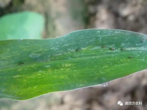 ���הQ����ô�k����ץ�o��Q��Ӱ푮a(ch��n)��!!!